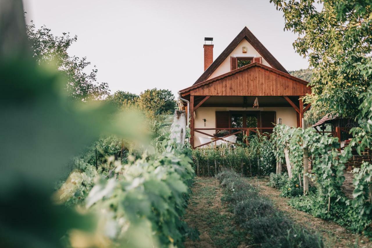 Szent Gyoergy Cottage Hegymagas Екстериор снимка